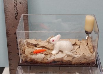Habitat with Baby Bunny