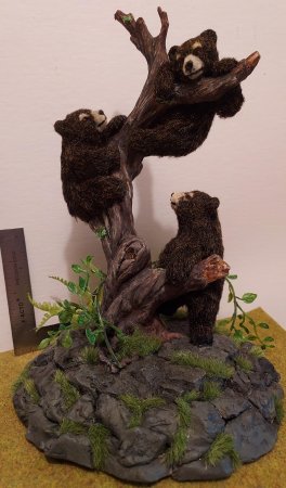 Bear Cubs in Tree