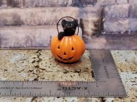 Black kitten in pumpkin