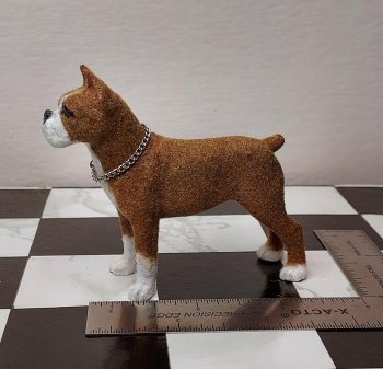 Boxer 1/12 scale with chain collar