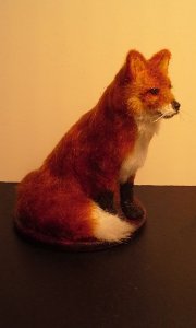 Fox- lying down