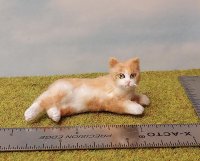 Bobtail, Marmalade Cat