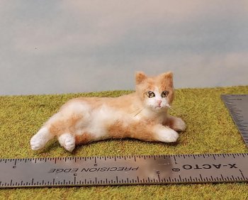 Bobtail, Marmalade Cat