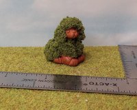 Poodle Topiary Sitting