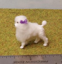 Toy poodle standing white purple bows 1/12