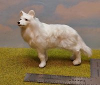 Snow Queen's pet White Wolf